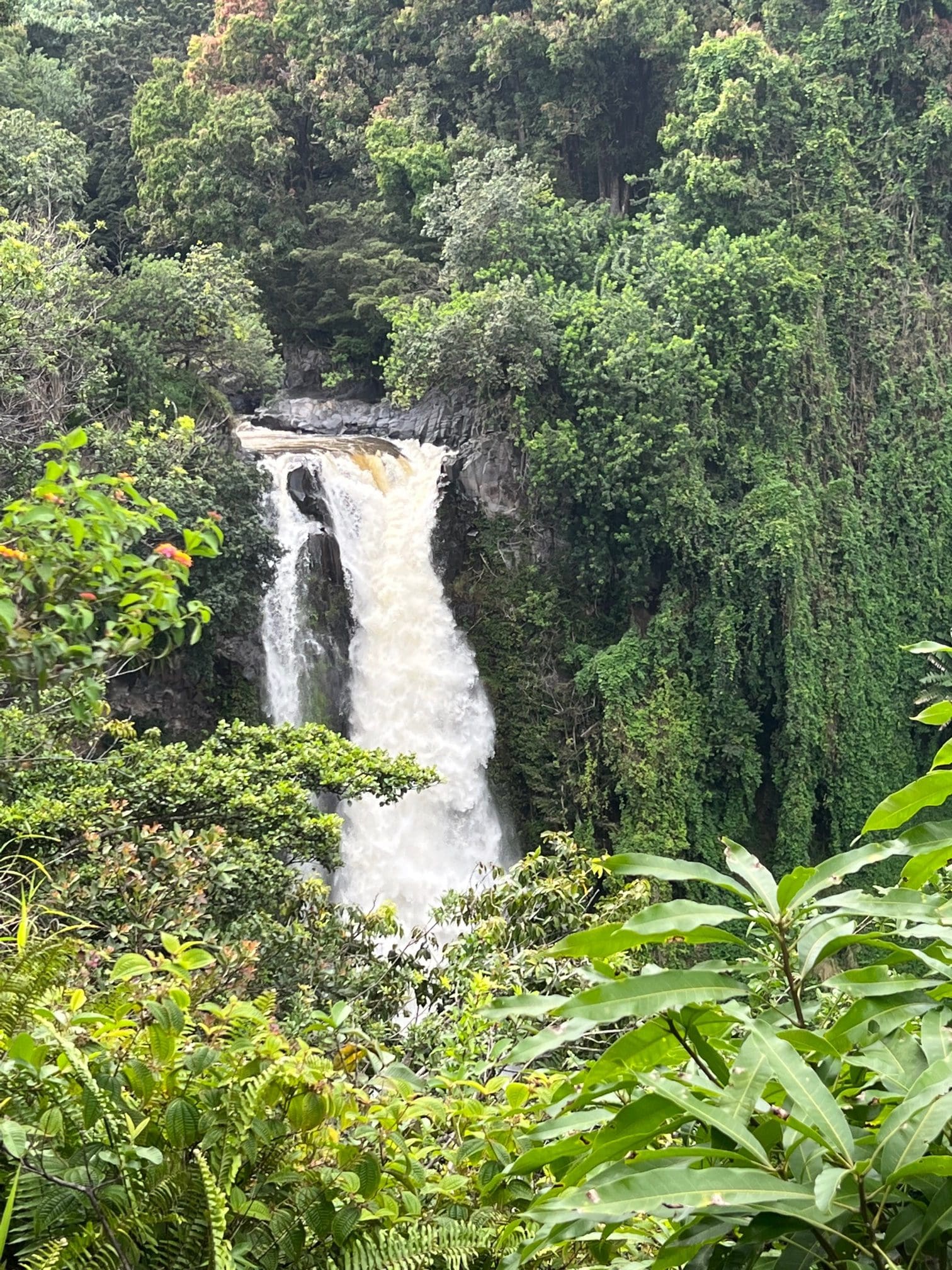 Majestic waterfall amidst vibrant jungle greenery