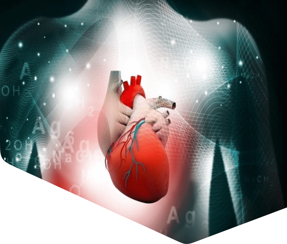 Human heart held by a hand digitally.