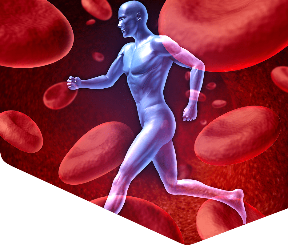 Transparent figure running among red blood cells.