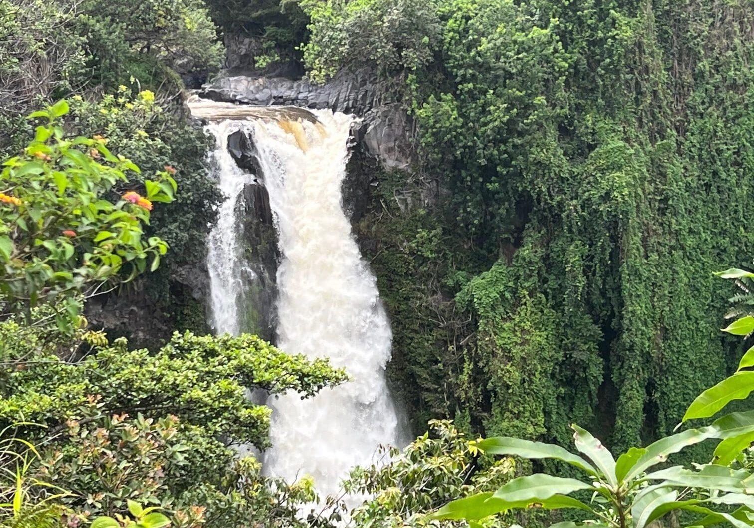 Majestic waterfall amidst vibrant jungle greenery